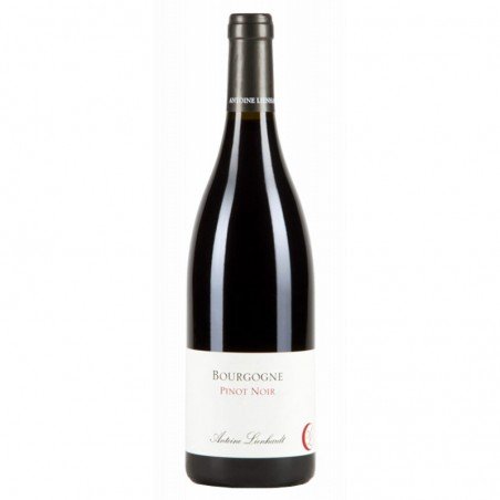 Bourgogne-antoine-Heloise-lienhardt-bourgogne-pinot-noir.png Bourgogne-antoine-Heloise-lienhardt-bourgogne-pinot-noir.png