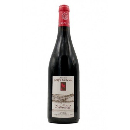 patrick-baudouin-loire-anjou-coteaux-dardennay
