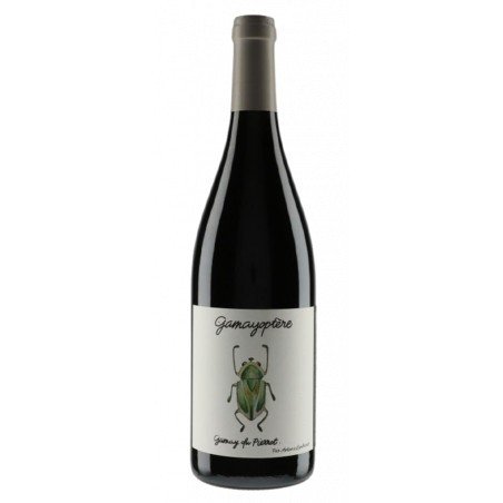 Bourgogne-antoine-Heloise-lienhardt-gamayoptere.png Bourgogne-antoine-Heloise-lienhardt-gamayoptere.png