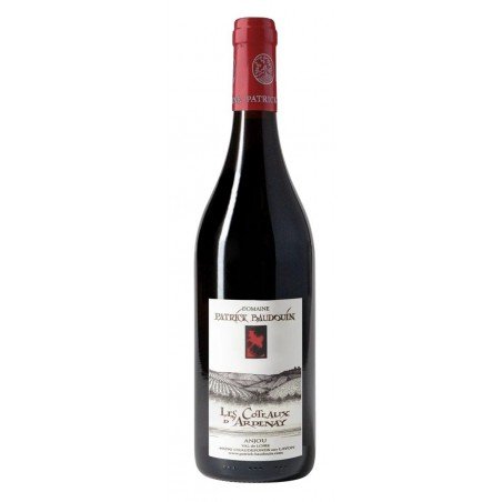 patrick-baudouin-loire-anjou-coteaux-dardennay