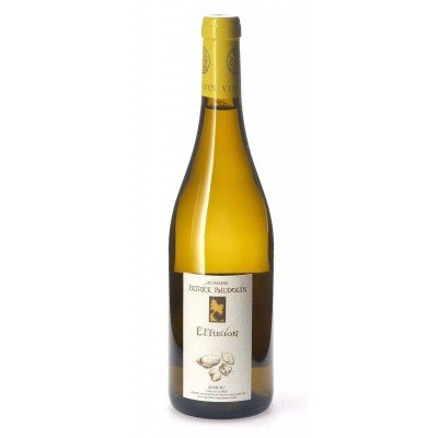  patrick-baudouin-loire-anjou-effusion 