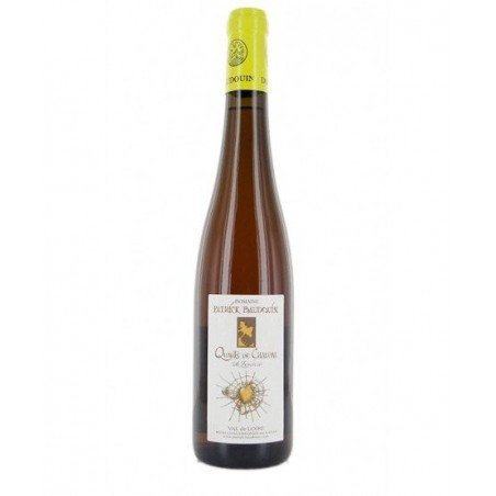patrick-baudouin-loire-savennieres-ronceray patrick-baudouin-loire-savennieres-ronceray