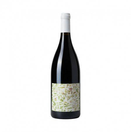 Loire-Ganolierre-Gros-plant-Folle.png
