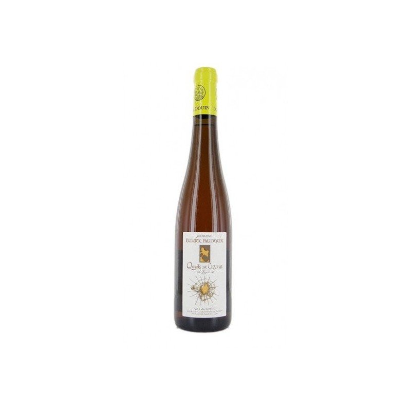 patrick-baudouin-loire-quart-de-chaume-les-zersilles