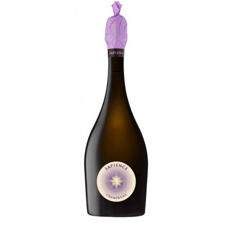 Champagne-benoit-marguet-brut-nature-SAPIENCE-600x1276.png Champagne-benoit-marguet-brut-nature-SAPIENCE-600x1276.png
