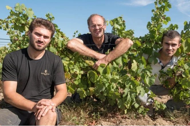 Thierry Michon - Domaine Saint Nicolas