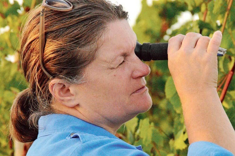 Tessa laroche - Domaine aux Moines