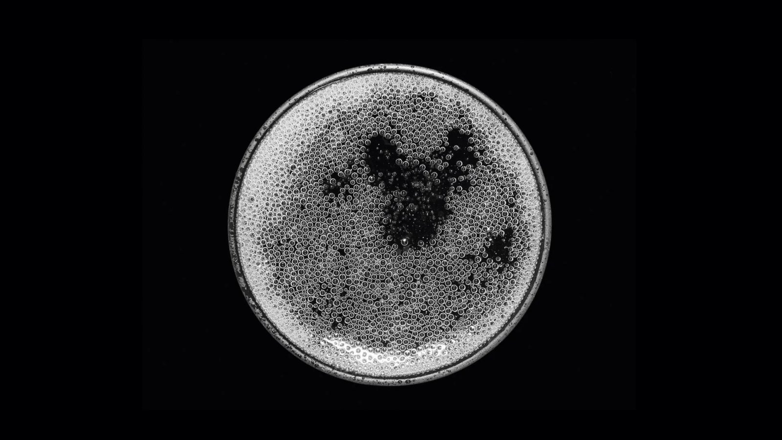 Bulles Extra-Brut & Brut Nature